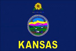 a pdf image of the flag of Kansas