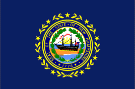 a pdf image of the flag of New Hampshire