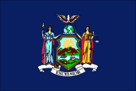 a pdf image of the flag of New York