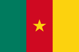 an image of the flag of Cameroon