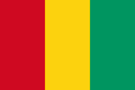 an image of the flag of Guinea