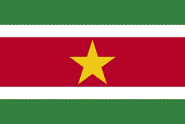 a pdf image of the flag of Suriname