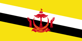 a pdf image of the flag of Brunei