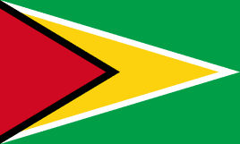 a PDF image of the flag of Guyana