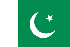 a PDF image of the flag of Pakistan