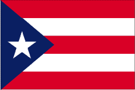 a PDF image of the flag of Puerto Rico