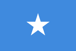 a PDF image of the flag of Somalia