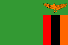 a PDF image of the flag of Zambia