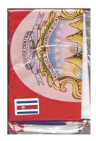 Costa Rica polyester flag in its packaging