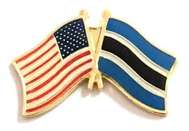 Botswana Friendship Flag Pin