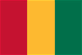 Guinea World Flag