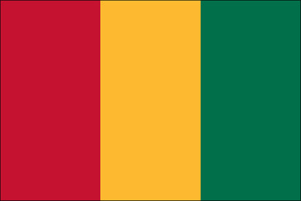 Guinea World Flag