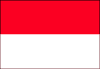 Indonesian Polyester Flag