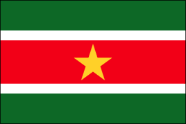 Surinam Polyester Flag
