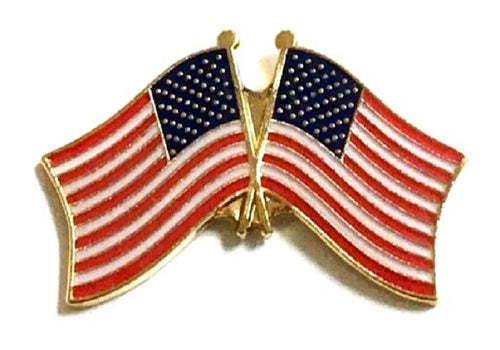 United States Flag Friendship Lapel Pins World Flag Friendship Lapel Pin World Flags Direct 1126